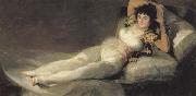 Francisco de goya y Lucientes The Maja Clothed oil painting